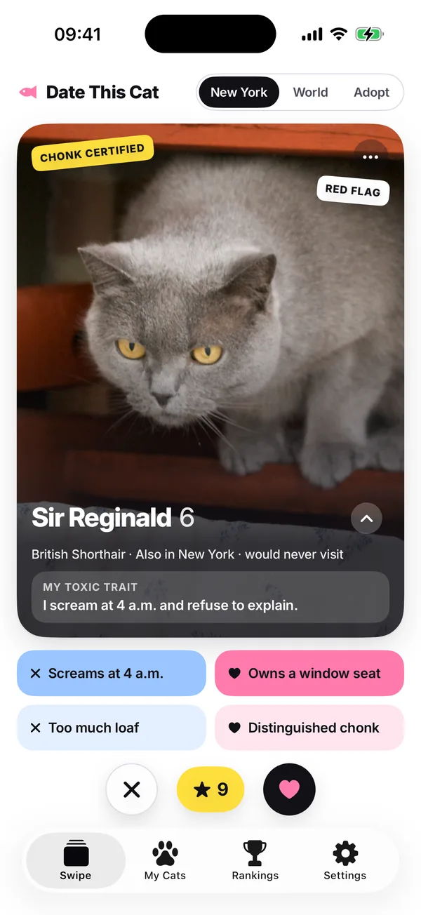 The deck set to My city, New York in this screenshot: Sir Reginald, “British Shorthair · Also in New York · would never visit”.