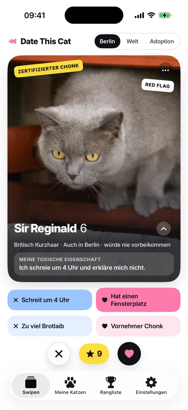 Der Stapel auf «Meine Stadt» gestellt, in diesem Screenshot Berlin: Sir Reginald, «Britisch Kurzhaar · Auch in Berlin · würde nie vorbeikommen».