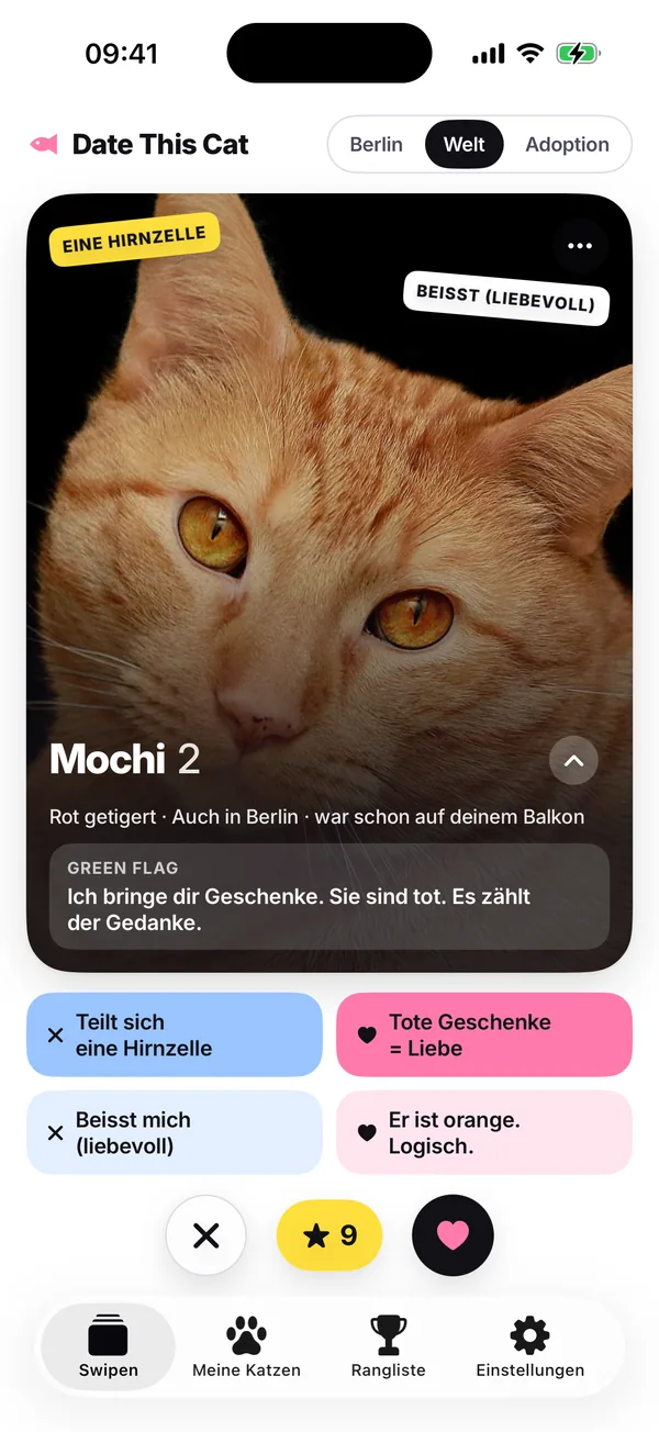 Der Swipe-Stapel: Mochi, ein rot getigerter Kater, mit vier Grund-Buttons unter der Karte und den Buttons für Nein, Super Miau und Ja.
