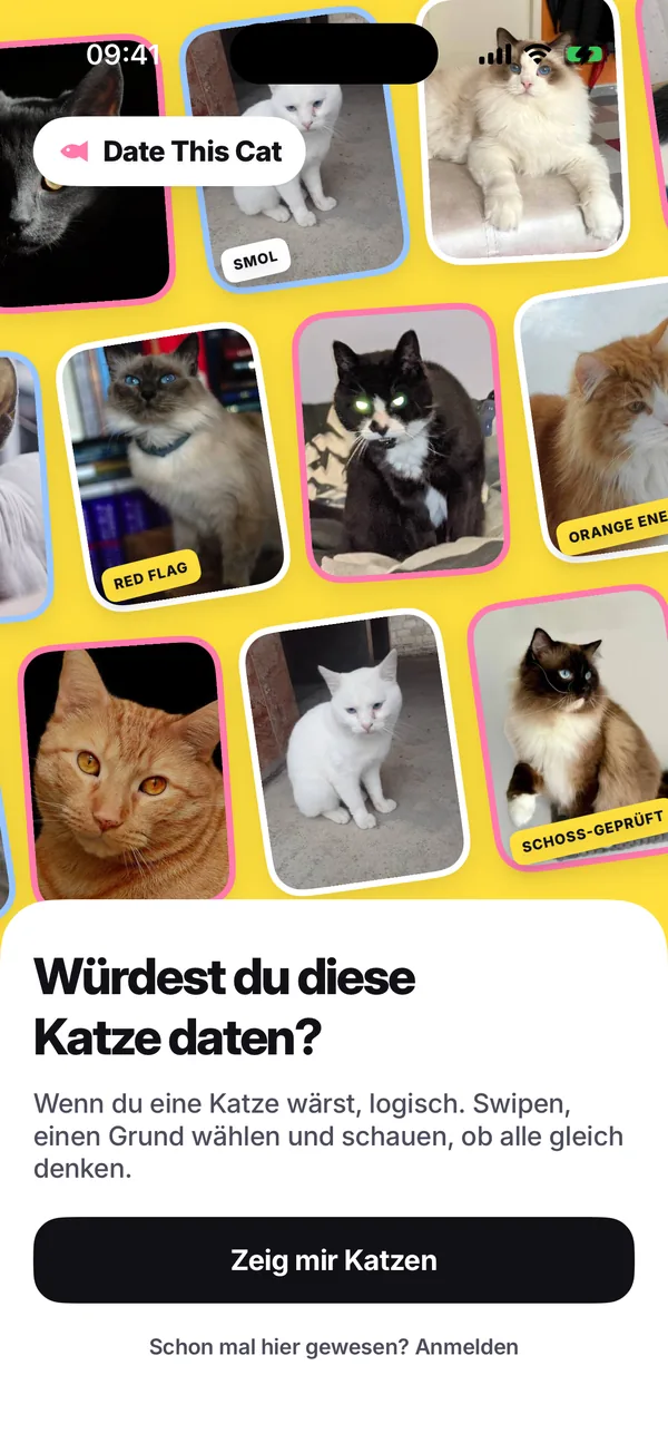 Der erste Screen der App: eine gelbe Wand aus schiefen Katzenfotos mit Stickern, darunter «Würdest du diese Katze daten?» und der Button «Zeig mir Katzen».