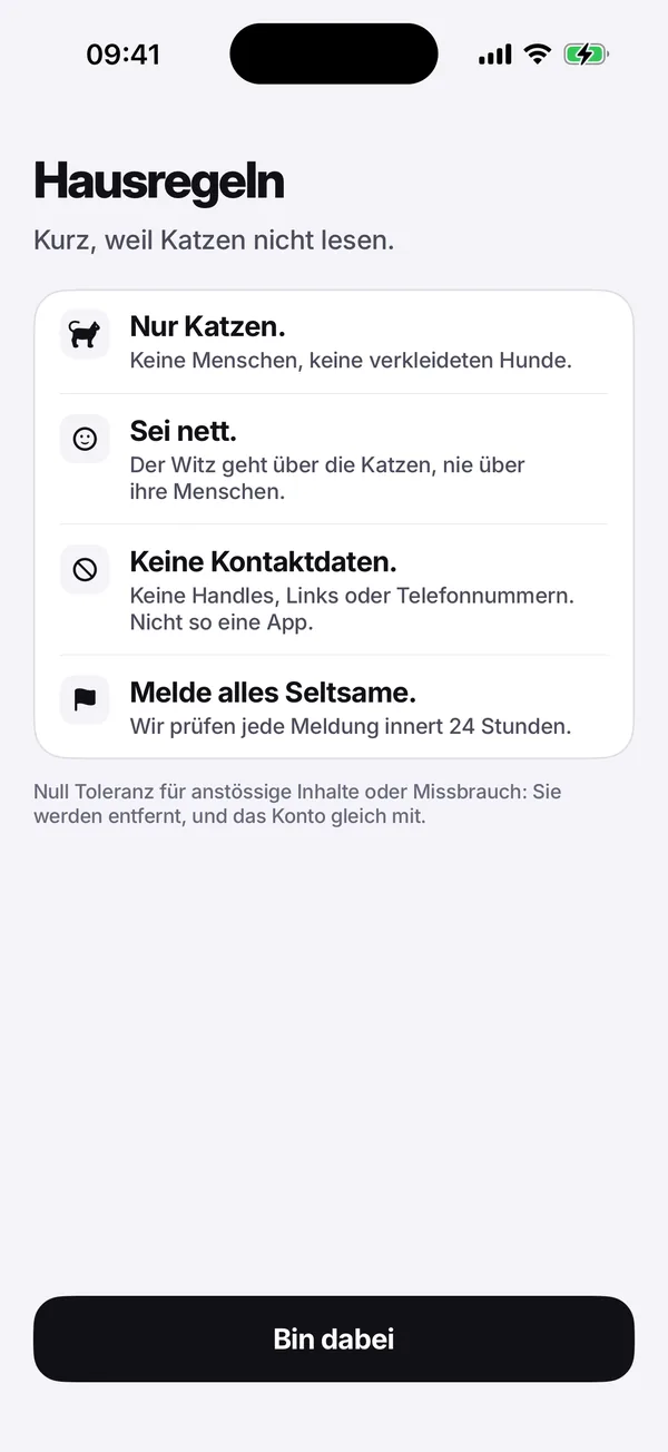 Der Screen mit den Hausregeln: Nur Katzen. Sei nett. Keine Kontaktdaten. Melde alles Seltsame.