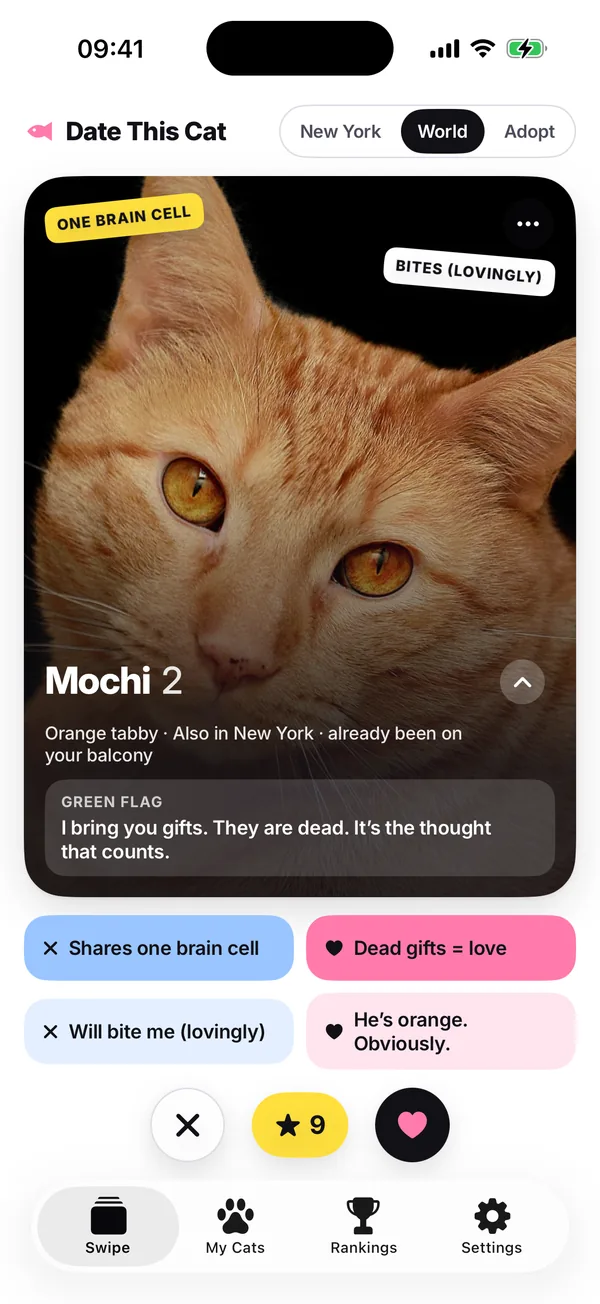 The swipe deck: Mochi, an orange tabby, with four reason buttons under the card and the no, Super Meow and yes buttons.