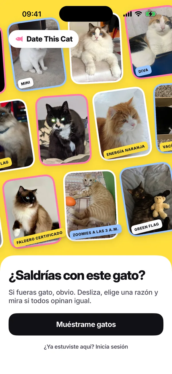 La primera pantalla de la app: una pared amarilla de fotos de gatos inclinadas con stickers, sobre “¿Saldrías con este gato?” y el botón “Muéstrame gatos”.