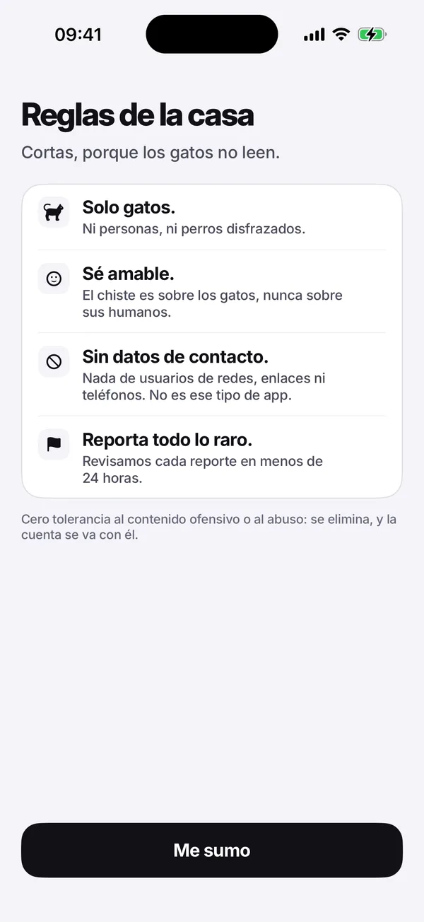 La pantalla de las reglas de la casa: Solo gatos. Sé amable. Sin datos de contacto. Reporta todo lo raro.