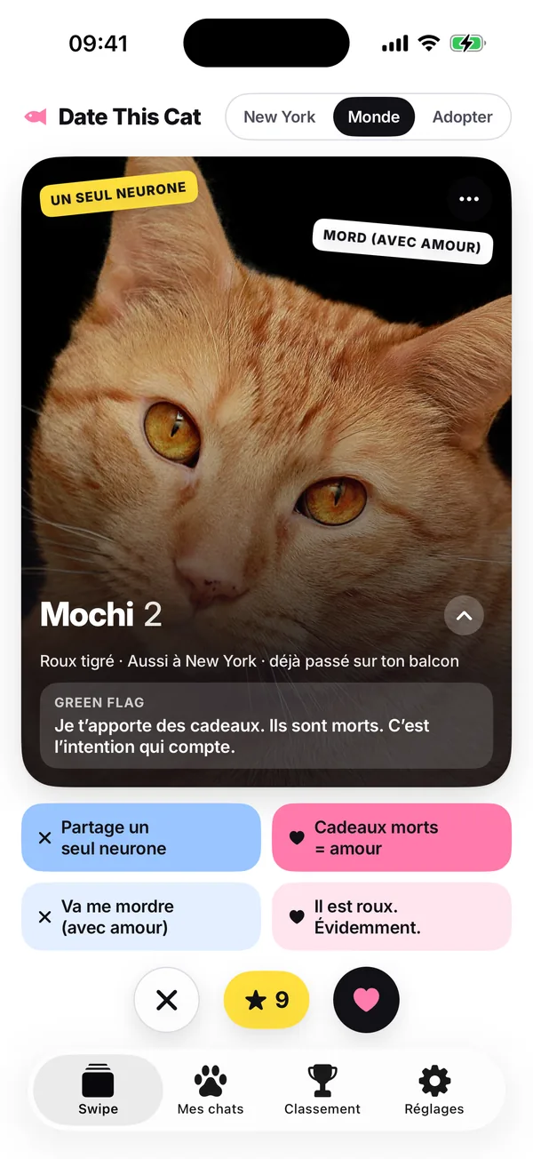 La pile de cartes : Mochi, un chat roux tigré, avec quatre boutons de raison sous la carte et les boutons non, Super Miaou et oui.