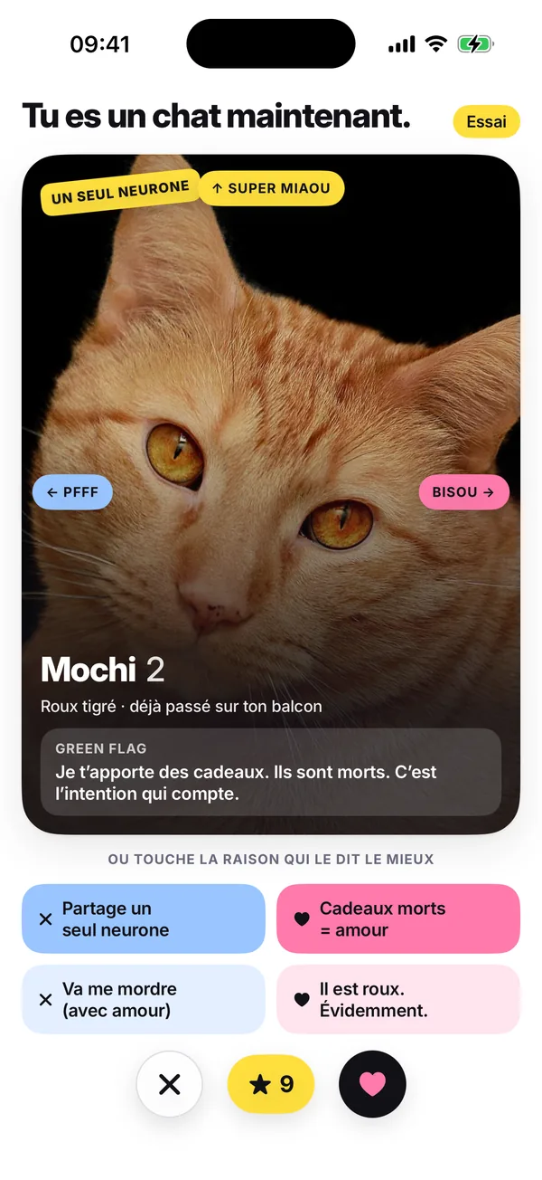 Le tour d’essai, intitulé « Tu es un chat maintenant. » : la carte de Mochi avec les indications PFFF, BISOU et Super Miaou et la phrase « ou touche la raison qui le dit le mieux ».