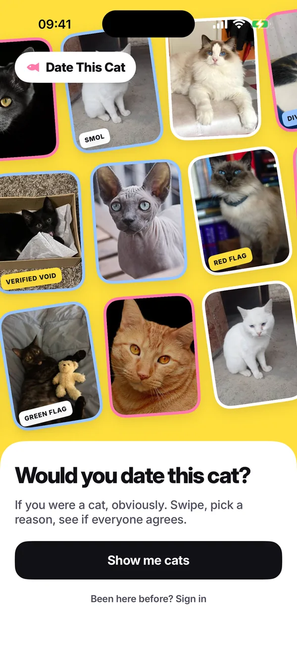 The app’s first screen: a yellow wall of tilted cat photos with stickers, above “Would you date this cat?” and a Show me cats button.