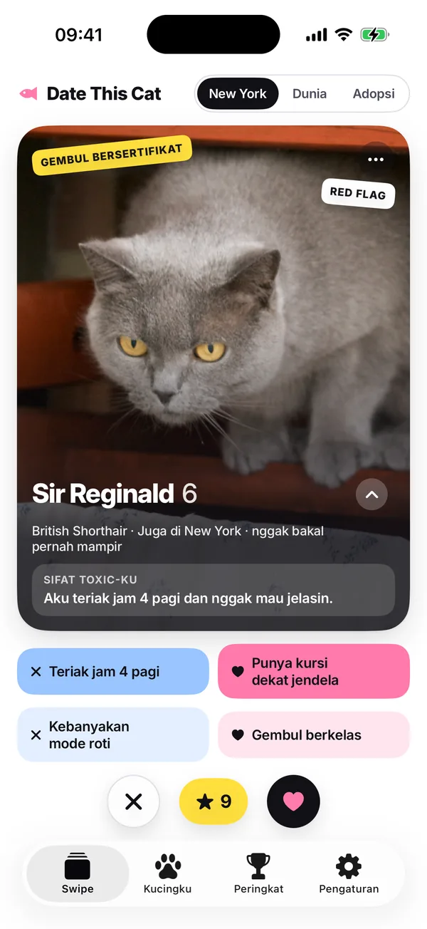 Tumpukan diatur ke Kotaku, di tangkapan layar ini New York: Sir Reginald, “British Shorthair · Juga di New York · nggak bakal mampir”.