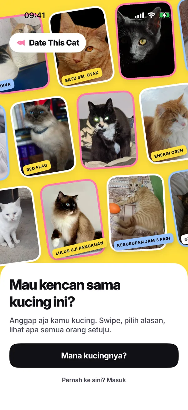 Layar pertama aplikasi: dinding kuning penuh foto kucing miring bertempel stiker, di atas tulisan “Kamu mau kencan sama kucing ini?” dan tombol “Tunjukkan kucingnya”.