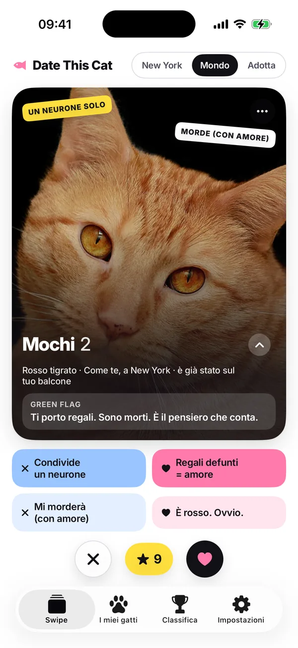 Il mazzo da swipe: Mochi, un gatto rosso tigrato, con quattro pulsanti dei motivi sotto la carta e i pulsanti per il no, il Super Miao e il sì.