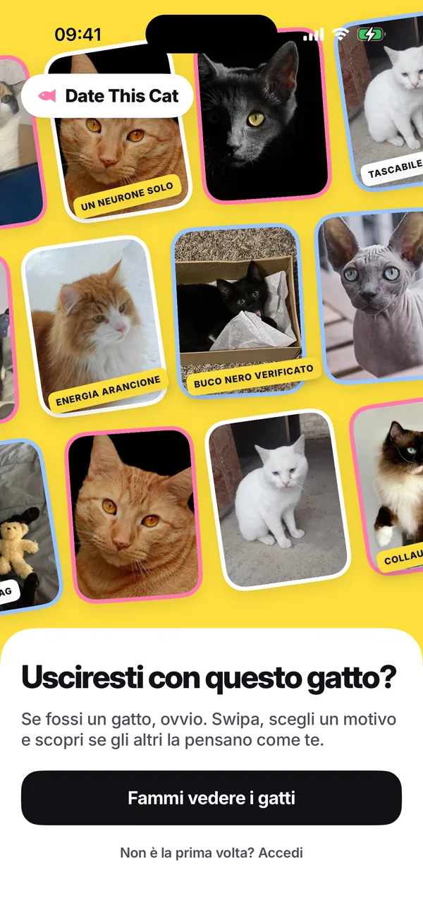 La prima schermata dell’app: un muro giallo di foto di gatti storte con sticker, sopra «Usciresti con questo gatto?» e il pulsante «Fammi vedere i gatti».