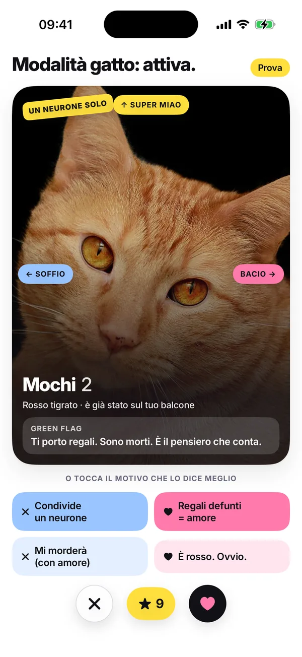 Il giro di prova, intitolato «Ora sei un gatto.»: la carta di Mochi con i suggerimenti SOFFIO, BACIO e Super Miao e la riga «oppure tocca il motivo più azzeccato».