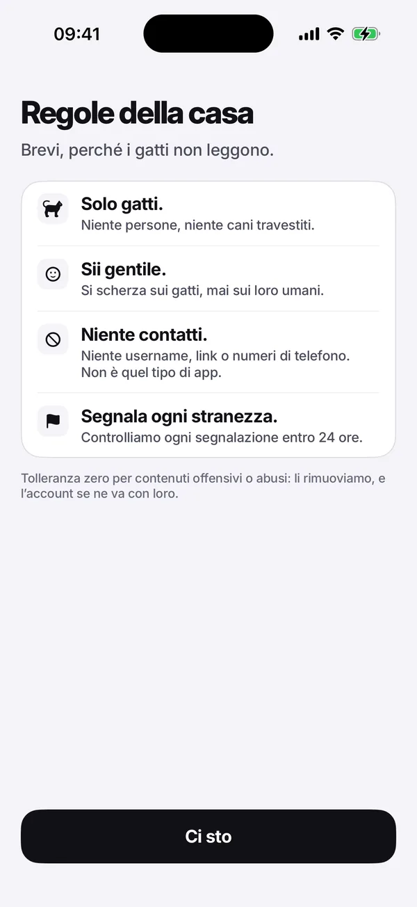 La schermata delle regole della casa: Solo gatti. Sii gentile. Niente dati di contatto. Segnala le cose strane.