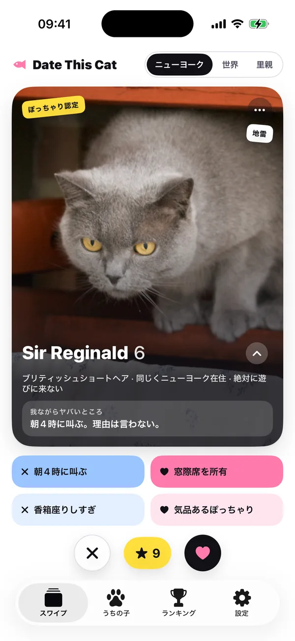 「マイシティ」に切り替えたカード(このスクリーンショットではニューヨーク):Sir Reginald、「ブリティッシュショートヘア · 同じくニューヨーク在住 · 絶対遊びに来ない」。