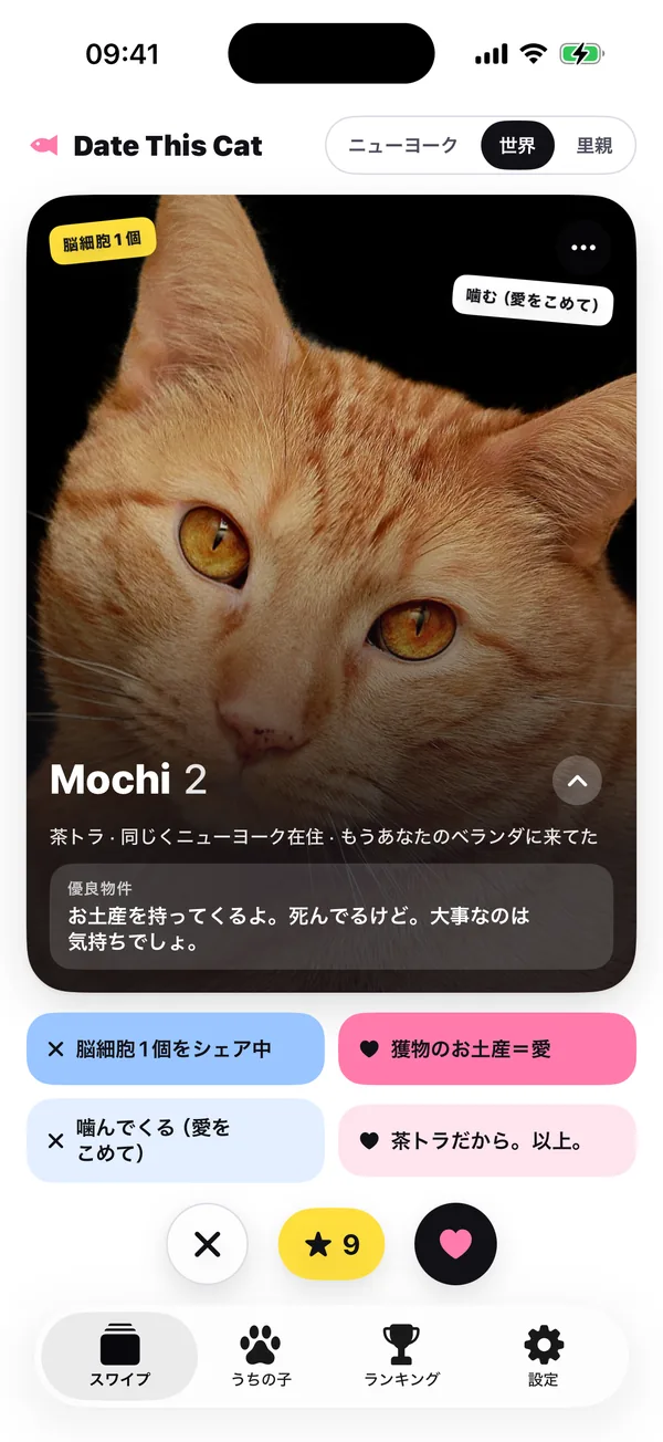 スワイプ画面:茶トラのMochi。カードの下に理由ボタンが4つと、ナシ・スーパーニャー・アリのボタン。