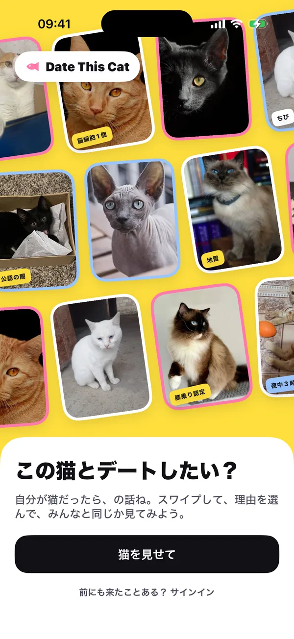 アプリの最初の画面:ステッカー付きの傾いた猫写真がぎっしり並ぶ黄色い壁。その下に「この猫とデートしたい?」の文字と「猫を見せて」ボタン。