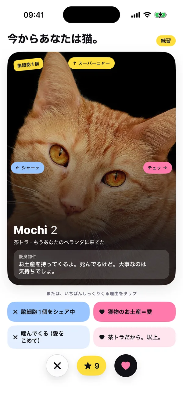 練習ラウンド。タイトルは「あなたはもう猫。」。Mochiのカードに、シャーッ・チュッ・スーパーニャーのヒントと「またはピッタリの理由をタップ」の一文。