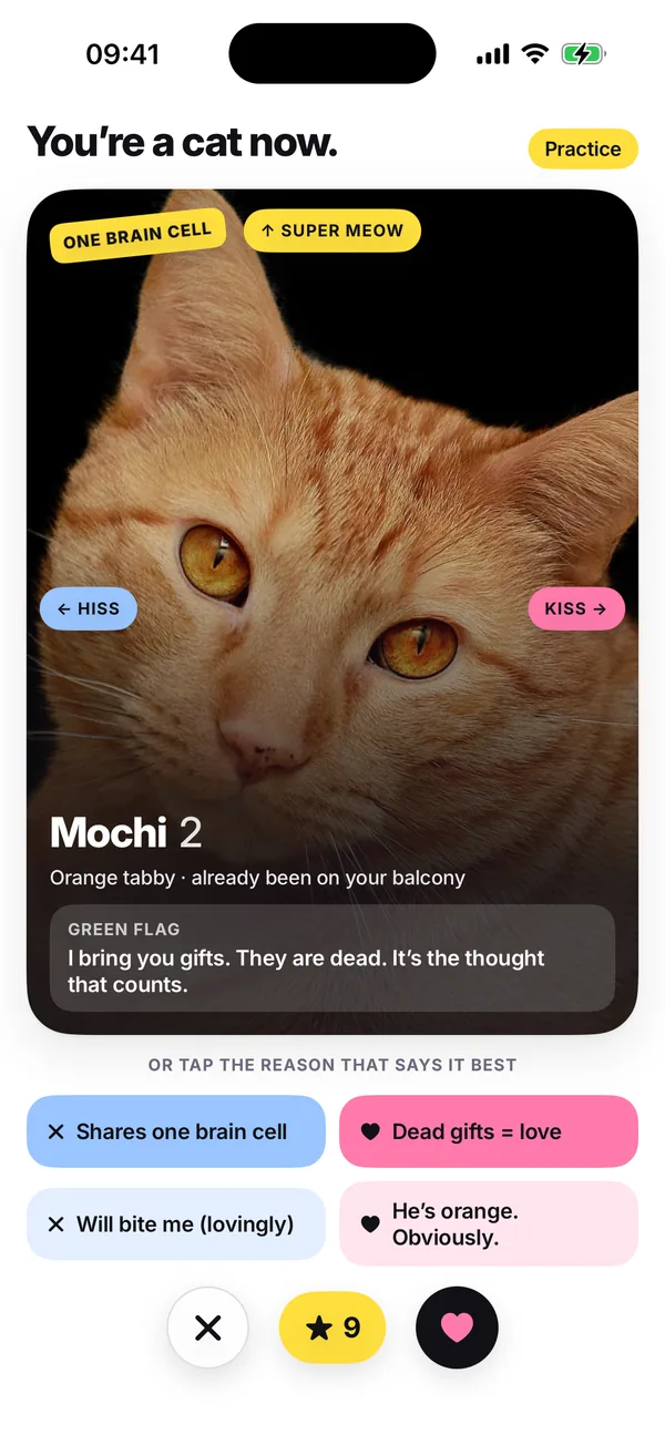 The practice round, titled “You’re a cat now.”: Mochi’s card with HISS, KISS and Super Meow hints and the line “or tap the reason that says it best”.