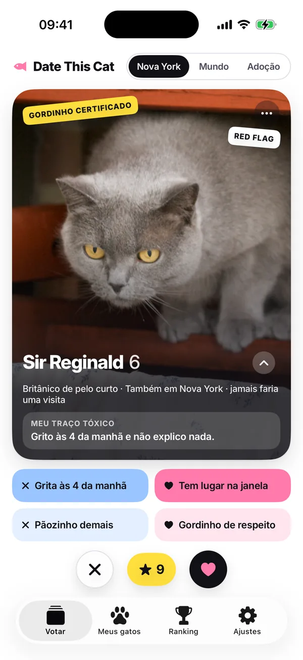 A pilha no modo Minha cidade, Nova York nesta captura de tela: Sir Reginald, “British Shorthair · Também em Nova York · jamais te visitaria”.