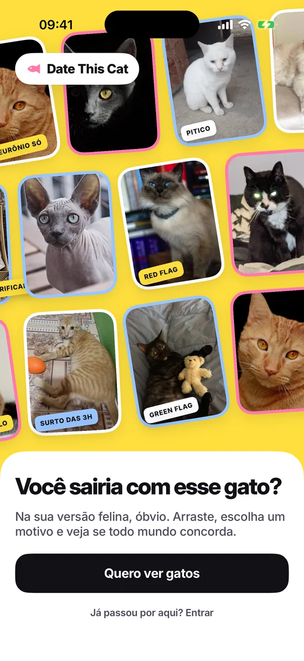 A primeira tela do app: uma parede amarela de fotos de gatos tortas, com adesivos, acima de “Você namoraria esse gato?” e do botão “Quero ver gatos”.