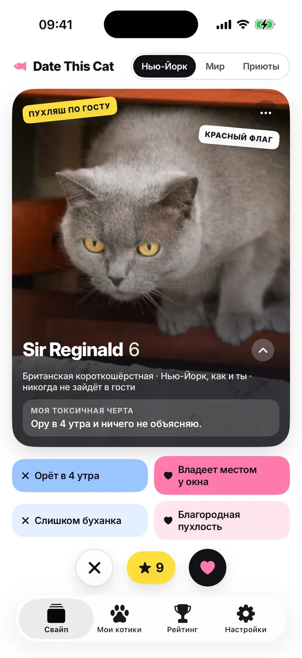 Колода в режиме «Мой город», на этом скриншоте — Нью-Йорк: Sir Reginald, «Британская короткошёрстная · Тоже в Нью-Йорке · в гости не придёт».