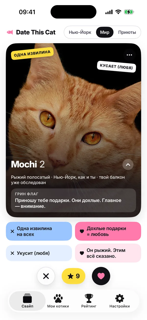 Колода для свайпов: Mochi, рыжий полосатый кот, под карточкой четыре кнопки с причинами и кнопки «нет», «Супер Мяу» и «да».