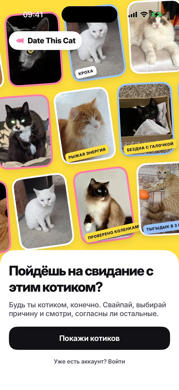 Первый экран приложения: жёлтая стена из наклонённых фото котов со стикерами, под ней «Пойдёшь на свидание с этим котом?» и кнопка «Покажи котиков».