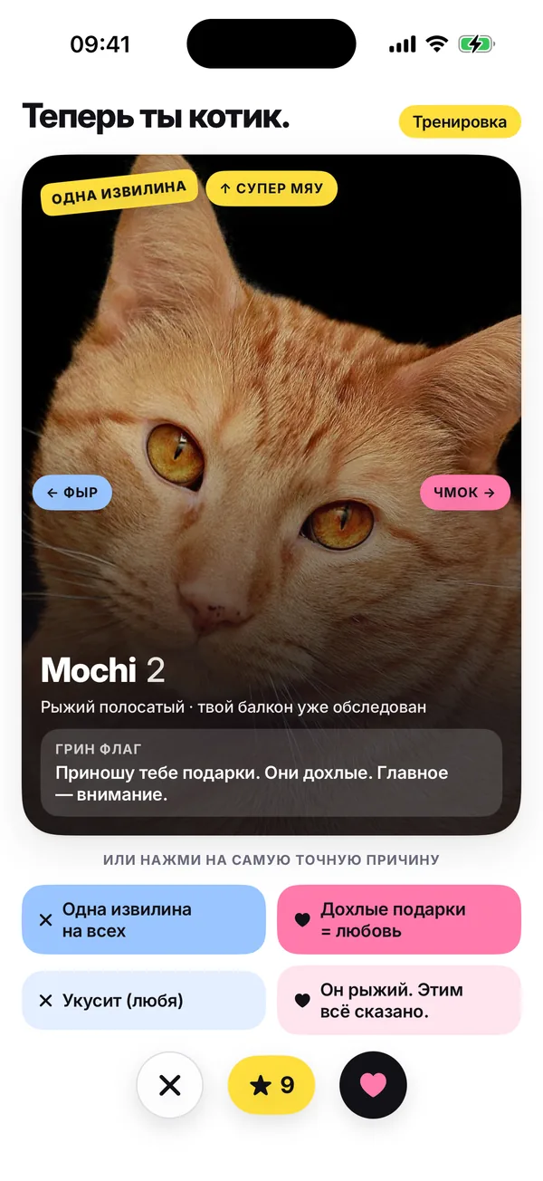 Тренировочный раунд с заголовком «Теперь ты кот.»: карточка Mochi с подсказками ФЫР, ЧМОК и Супер Мяу и строкой «или нажми причину, которая попадает в точку».