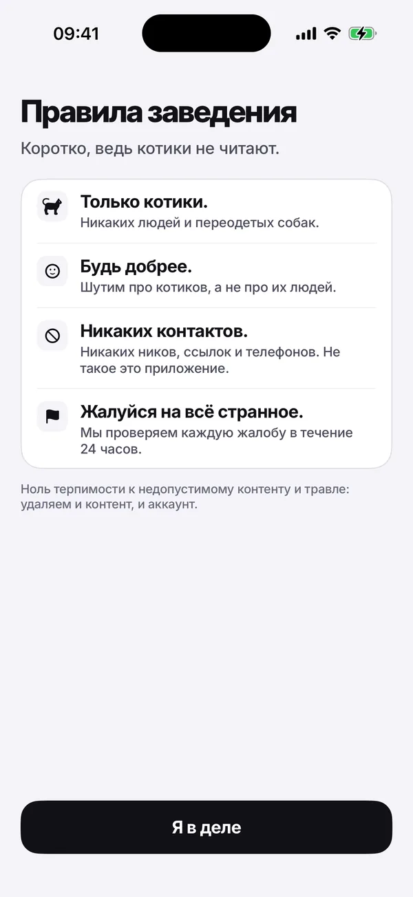 Экран с правилами дома: Только коты. Будь добрее. Никаких контактов. Жалуйся на всё странное.