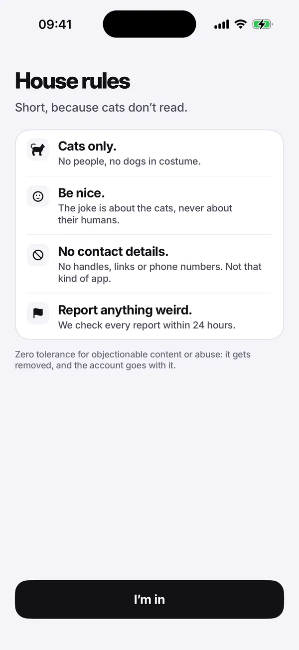 The house rules screen: Cats only. Be nice. No contact details. Report anything weird.
